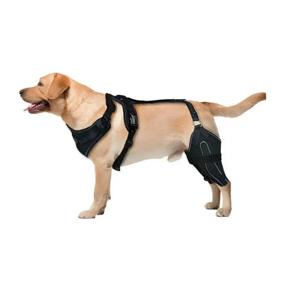 Dogs Knee Brace Dog Hip Knee Leg Brace ACL Support for Hip Dysplasia Dog Arthritis Luxating Patella Pet Leg Support Brace