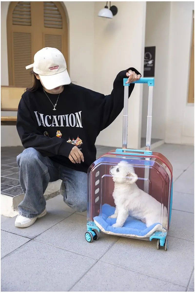 Pet Cat Carrier Out Trolley Case Portable Large Capacity Dog Bag Transparent Breathable Cat Backpack Transporter Pet Supplies