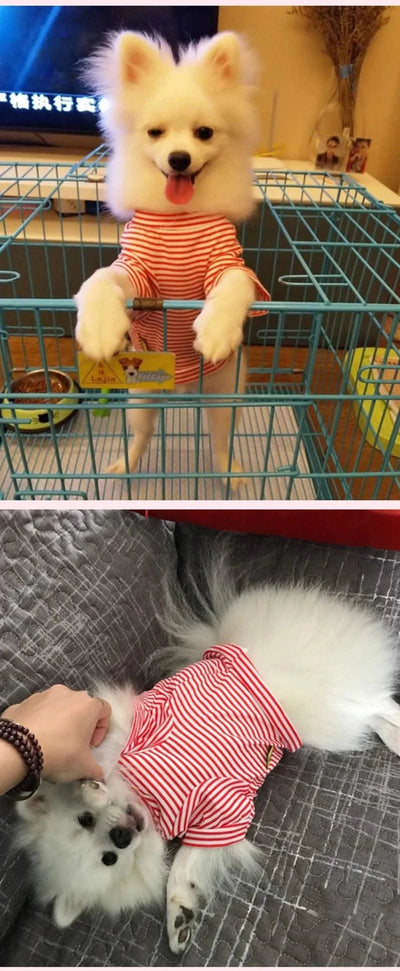 Summer Pet Dog Clothes for Small Dogs Cotton Puppy Vest Tshirt Chihuahua Shih Tzu Yorkshire Shirts Cat Outfit Pets Dogs Clothing