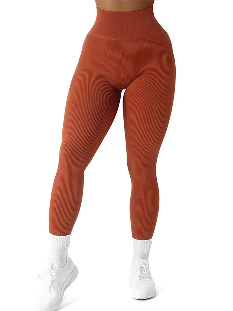 High Waisted Seamless Yoga Leggings, Ribbed Sportswear Tights