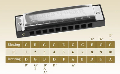 Diatonic Blues Harmonica 12 Keys Available Mouth Organ Harmonica10 Hole 20 Tone Diatonic Harp with Case for Student Teacher Gift