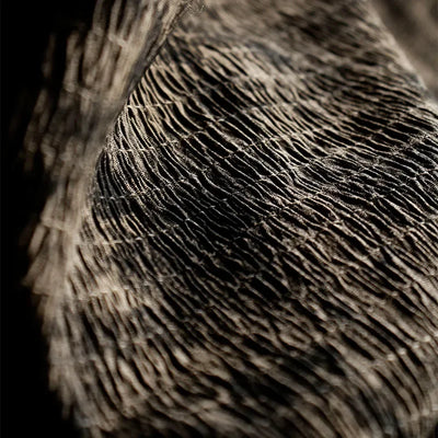 Moss Three-dimensional Folds Irregular Texture Stir Fried Fabric Meilad New Chinese Style Vintage Clothing Designer Fabric