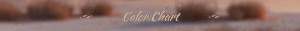 Customized corset curvy wedding dress luxury robe mariagea
