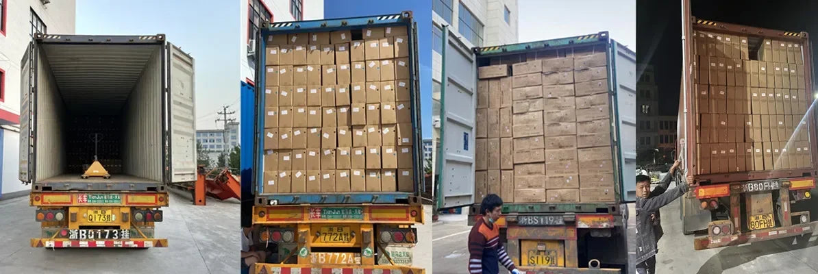 300cc China Snowmobile With 80km/h Speed Electric Start 10 Inch Aluminum Tire Four Stroke Air-Cooled Snow Scooter Snowmobiling