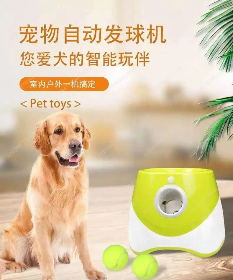 Automatic Pet Throw Jump Ball Dog Catapult Ball Launcher Dog Toy Bulldog Toy Tennis Machine Automatic Pet Throw