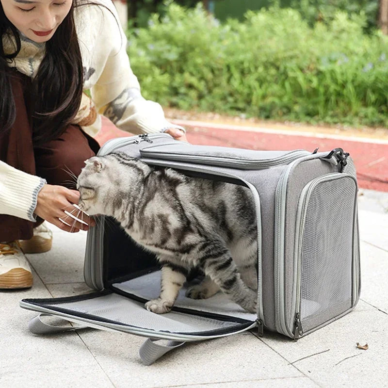 Portable Dog Cat Carrier Bag Soft Side Backpack Pet Carriers Dog Travel Bags Airline Approved Transport  Outgoing Pets Handbag