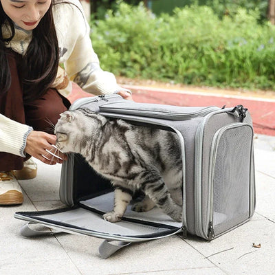 Portable Dog Cat Carrier Bag Soft Side Backpack Pet Carriers Dog Travel Bags Airline Approved Transport  Outgoing Pets Handbag