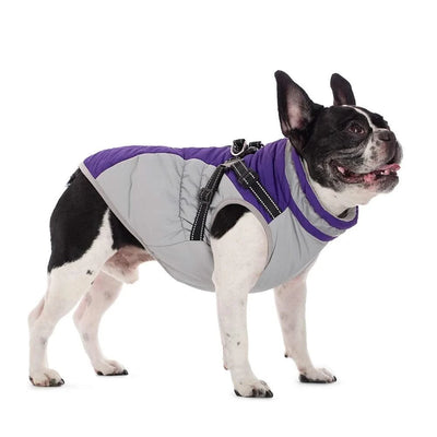 Waterproof Pet Jacket With Harness Winter Warm Dog Clothes for Small Large Dogs Labrador Coat Chihuahua French Bulldog Outfits