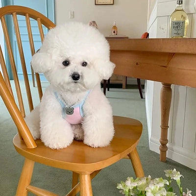 Pet Puppy Summer Clothes Pomeranian Short Vest Yorkshire Animal Print Pullover Maltese Soft Camisole Pet Supplies