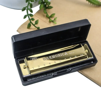 Metal Harmonica Key of C 10 Hole Chromatic Scale Harmonica with Box for Beginner Students Kids Gift
