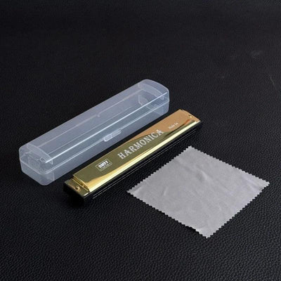 24 Hole Metal Harmonica Children's Early Education Instrument Self-learning Introductory Chromatic Color Double Row Harmonica