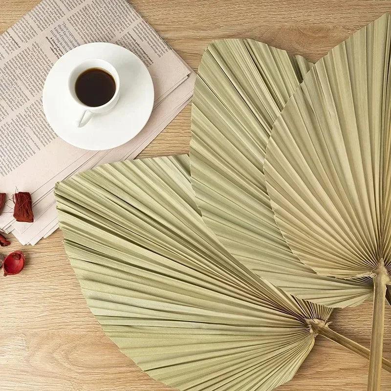 5 pieces natural dried palm leaves room decor tropical fans for a beautiful boho home wedding