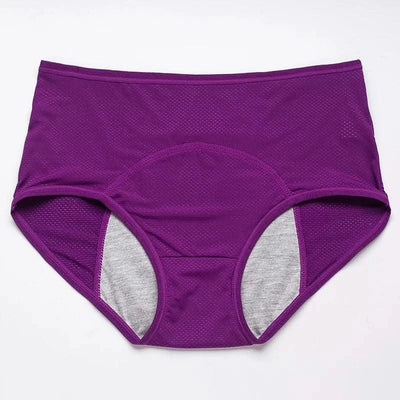 Leak Proof Menstrual Panties Women Period Underwear Sexy Pants Incontinence Underwear Briefs Plus Size Femme Underpants