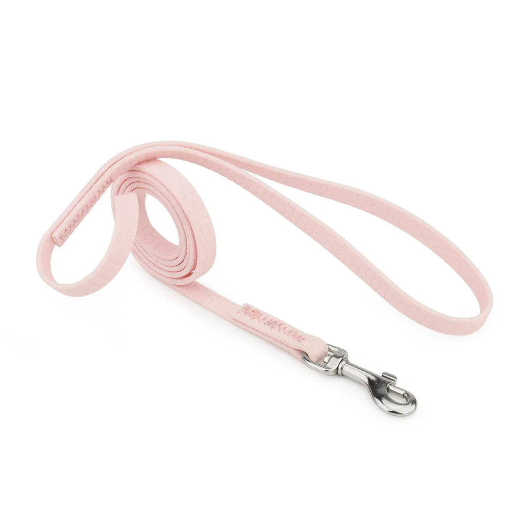 Cat Short Leash Small Dog Pet Leashes Anti-lost Guide Rope For Puppy Mini Dogs