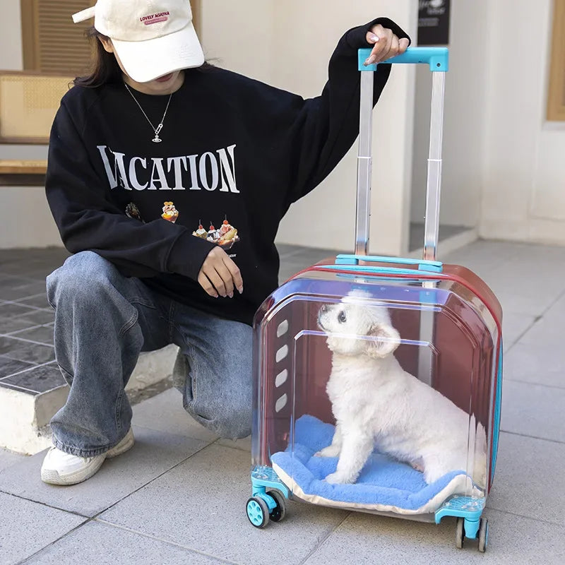 Pet Cat Carrier Out Trolley Case Portable Large Capacity Dog Bag Transparent Breathable Cat Backpack Transporter Pet Supplies