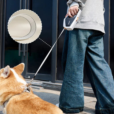 Small Dog Retractable Leash for Medium Dogs Puppy Outdoor Walk Training Pet Leashes Rope