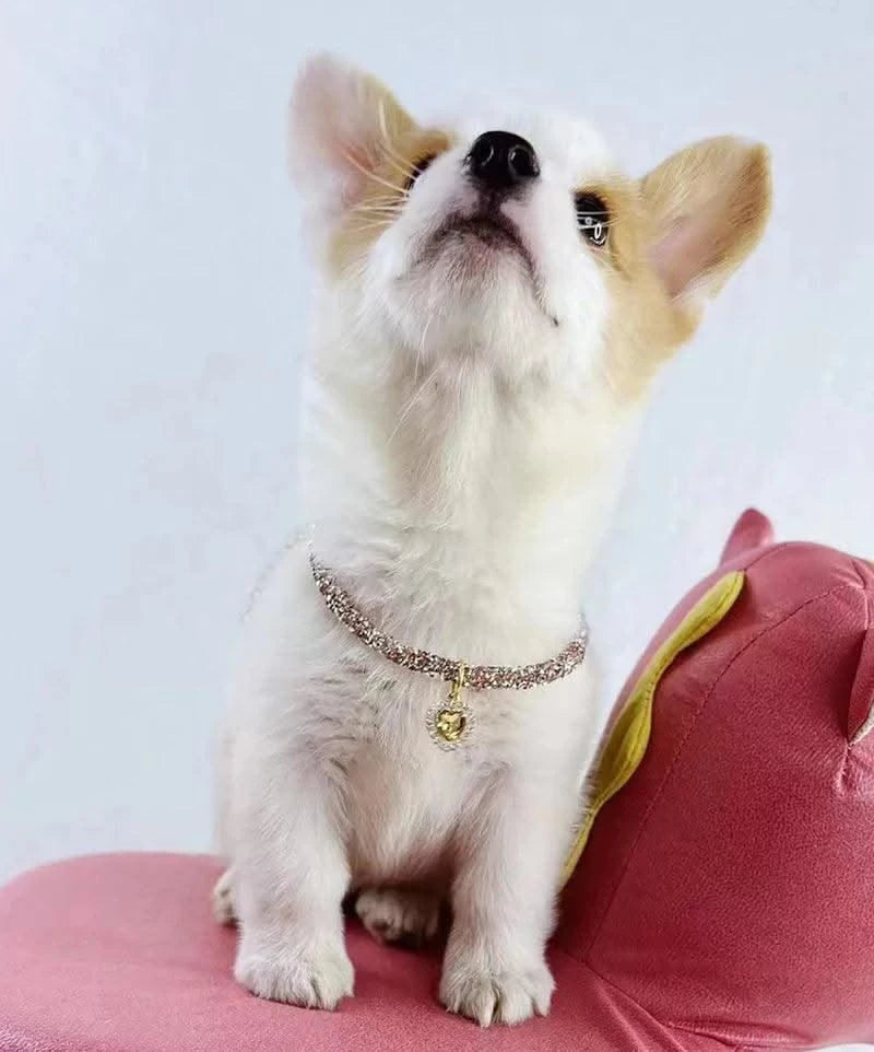 Adjustable Pet Necklace Cat Dog Collar with Diamond Zircon Heart Pendant Jewelry Luxury Metal Puppy Collars Dog Accessories