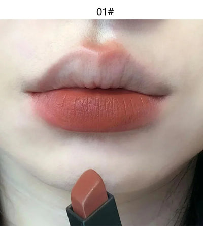 Matte Lipstick Nude Smoked Rose Lip Colour Velvety Lip Tint Solid LipGloss Waterproof Makeup Long Lasting Cosmetic