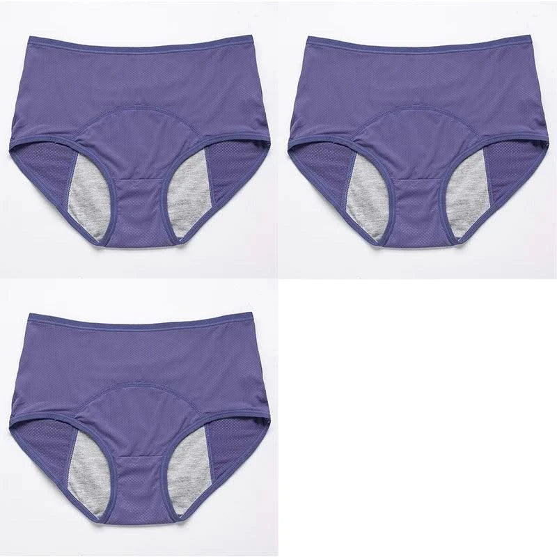 3pcs/Set Leak Proof Menstrual Panties Women Period Underwear Sexy Pants Physiological Underwear Plus Size Waterproof Briefs