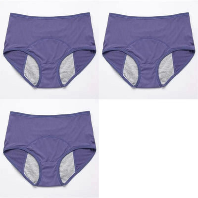 3pcs/Set Leak Proof Menstrual Panties Women Period Underwear Sexy Pants Physiological Underwear Plus Size Waterproof Briefs