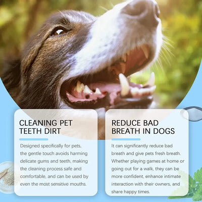 Pet Toothbrush Pen Teeth Clean Fresh Breath Pet Toothbrush Paste Brush One Easy To Use Cat Tooth Brush ToothbrushSet Accessories