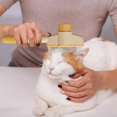 Cat Grooming Massage Brush Pet Comb Professional Open Knot Pet Hair Removal Brush Durable kitten comb Pet Accessories