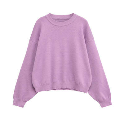 Women's clothing autumn new products simple casual and fashionable ribbed round neck long sleeve knitted sweatshirt