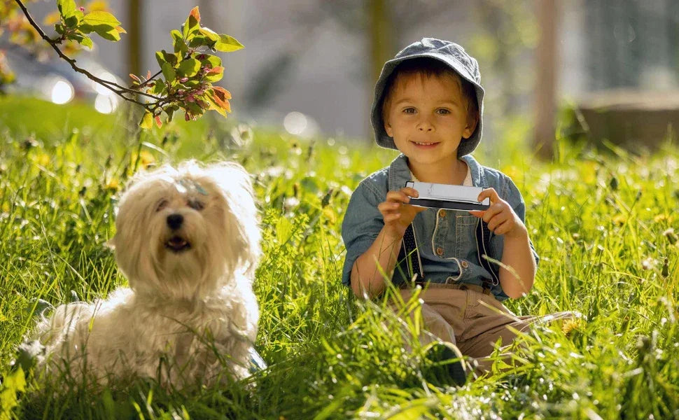 Diatonic Blues Harmonica 12 Keys Available Mouth Organ Harmonica10 Hole 20 Tone Diatonic Harp with Case for Student Teacher Gift