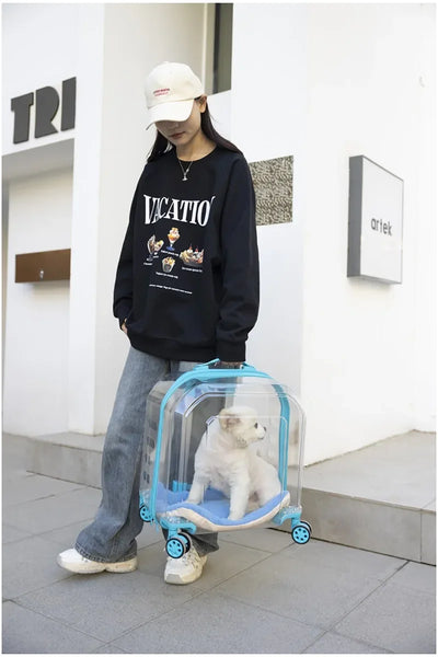 Pet Cat Carrier Out Trolley Case Portable Large Capacity Dog Bag Transparent Breathable Cat Backpack Transporter Pet Supplies