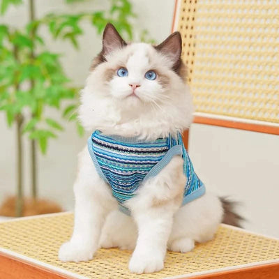 Pet Dog Clothes Summer Puppy Clothing Dogs Soft Vests Kitty Casual T-Shirt for Small Medium Puppy Cat Costume Pet Supplies