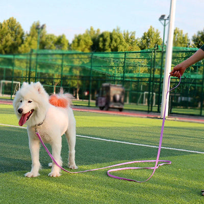 PVC Long Pet Leashes Walking Outdoor Rope Dog Leash Pets Play Long Distance On Leash