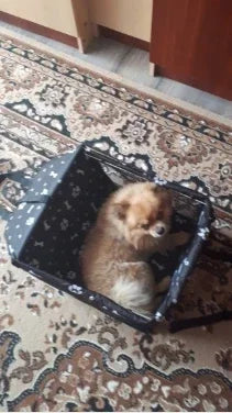 Pet Dog Car Carrier Seat Bag Waterproof Basket Folding Hammock Pet Carriers Bag For Small Cat Dogs Safety Travelling Mesh