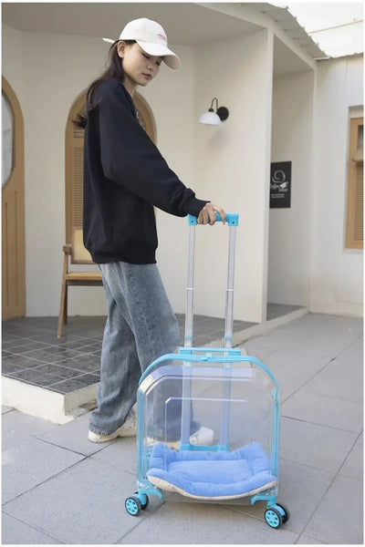 Pet Cat Carrier Out Trolley Case Portable Large Capacity Dog Bag Transparent Breathable Cat Backpack Transporter Pet Supplies