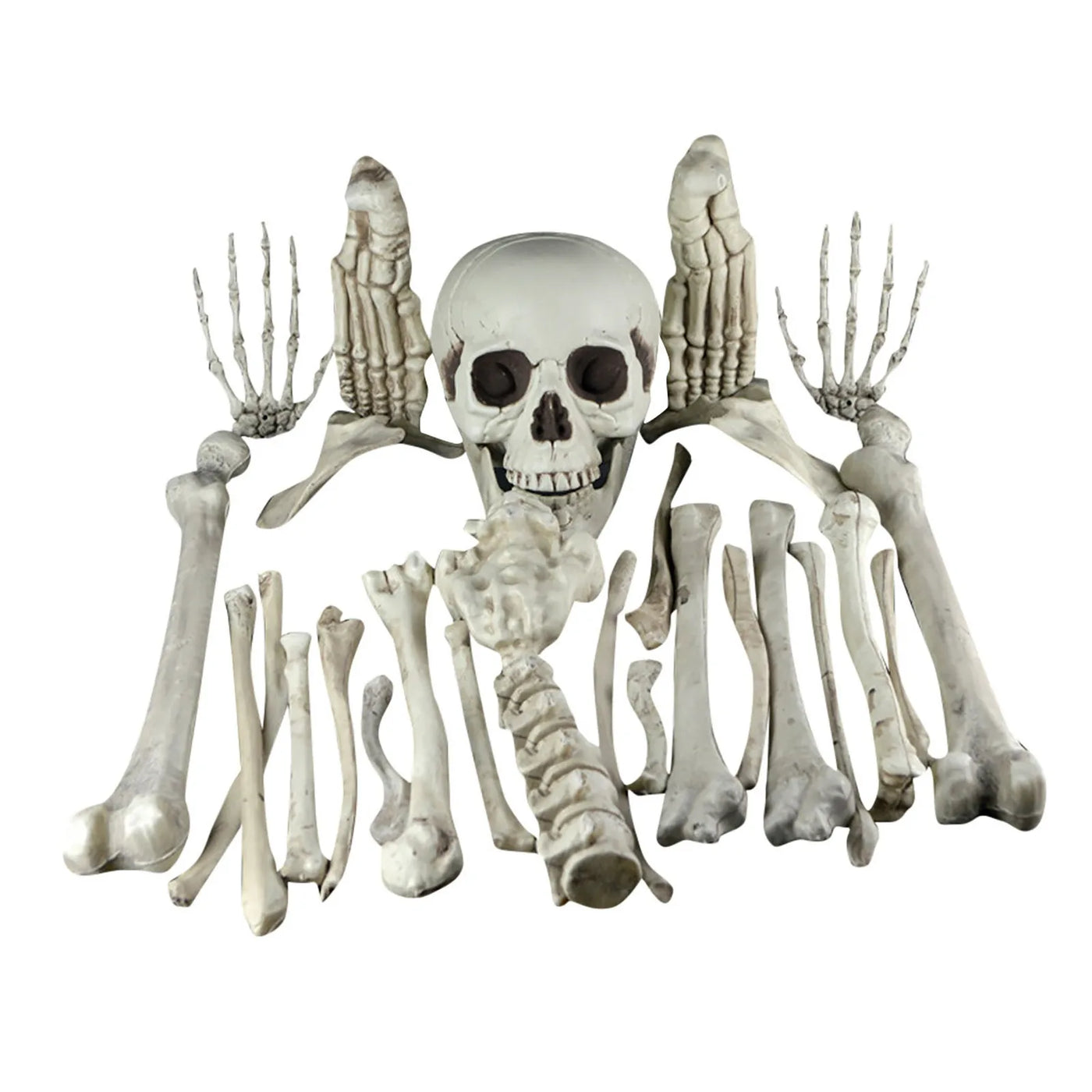 Halloween Human Skeleton Human Skeleton Halloween Horror Decorations Graveyard Decorations Haunted House Horror Skeleton Props