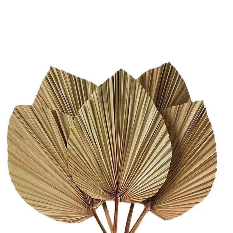 5 pieces natural dried palm leaves room decor tropical fans for a beautiful boho home wedding