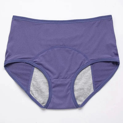 Leak Proof Menstrual Panties Women Period Underwear Sexy Pants Incontinence Underwear Briefs Plus Size Femme Underpants