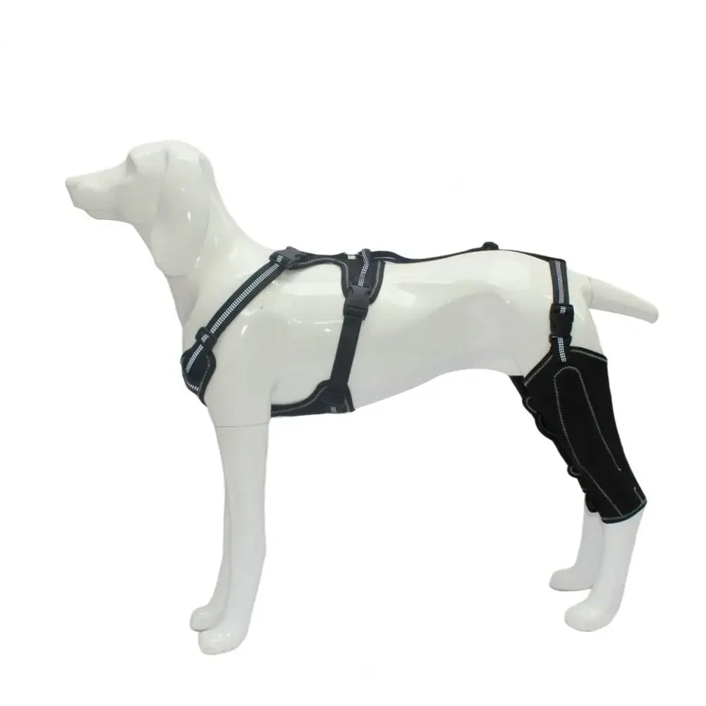 Dogs Knee Brace Dog Hip Knee Leg Brace ACL Support for Hip Dysplasia Dog Arthritis Luxating Patella Pet Leg Support Brace