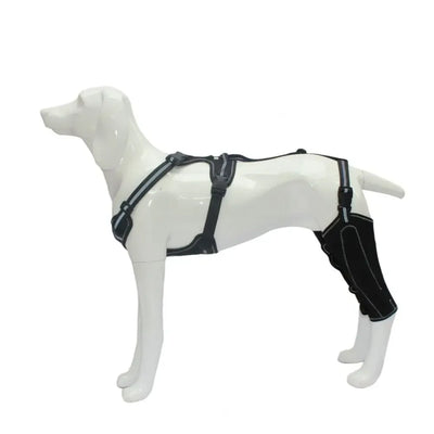 Dogs Knee Brace Dog Hip Knee Leg Brace ACL Support for Hip Dysplasia Dog Arthritis Luxating Patella Pet Leg Support Brace