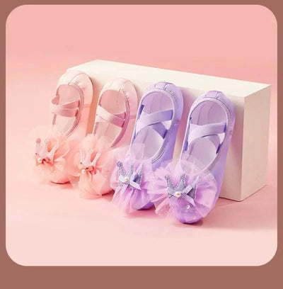 Ballet Dance Shoes for Children's Ballet Latin Dance Soft Sole Slippers Children Dance Practise Ballerina Crown Training Shoes