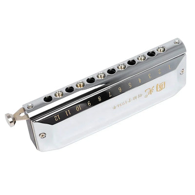 Professional Silver Chromatic Harmonica｜12-Hole 48 Tones w/Stainless Cover｜Guoguang Voice-Optimized｜Home Use for All Ages 🎶