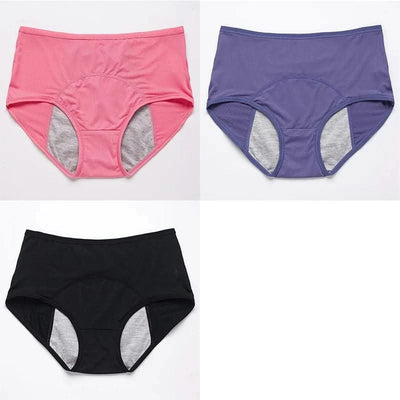 3pcs/Set Leak Proof Menstrual Panties Women Period Underwear Sexy Pants Physiological Underwear Plus Size Waterproof Briefs