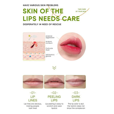 Refreshing hydrating repair lipstick Aloe Vera Vitamin essence Double Protection Moisturizing Water Lip Balm beauty skincare