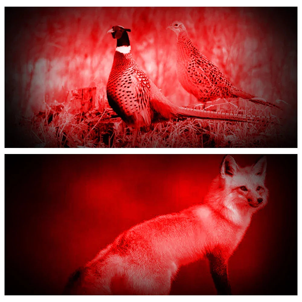 Hunting Headlamp Red+White Dual Light Rechargeable Fixed Focus Waterproof 4Modes Headlight Hunting Camping Hiking Working Light