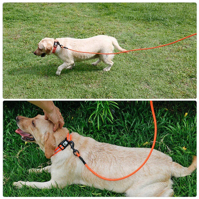 PVC Pet Leashes 5m 10m Small Large Puppy Cat Dog Leash Recall Training Tracking Obedience Long Lead Waterproof