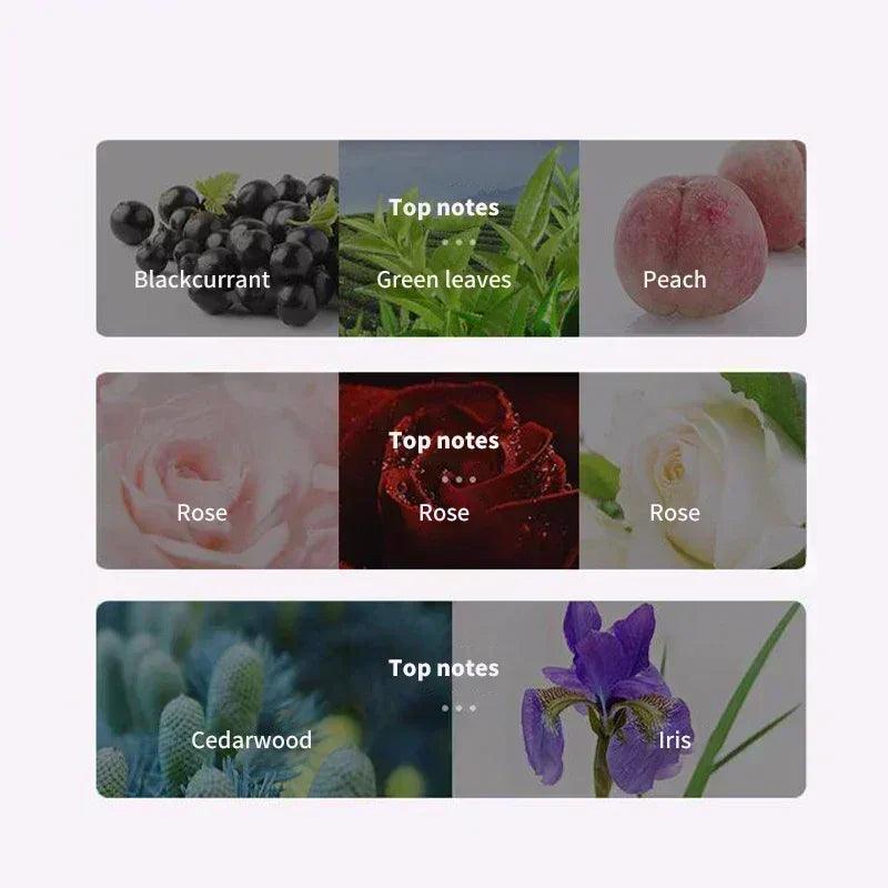 100ml luxury oriental floral fruity perfume spray,sweet alluring woman scent,fresh rose/citrus/cedar fragrance,long