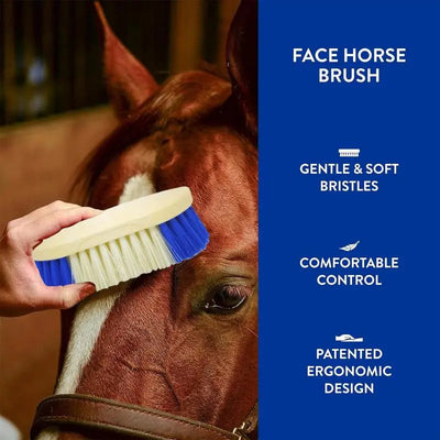 Horse Hair Brush Horse Grooming Brush Scrubber Ergonomic Pet Cleaning Tool With Hard Bristles For Bovine Livestock