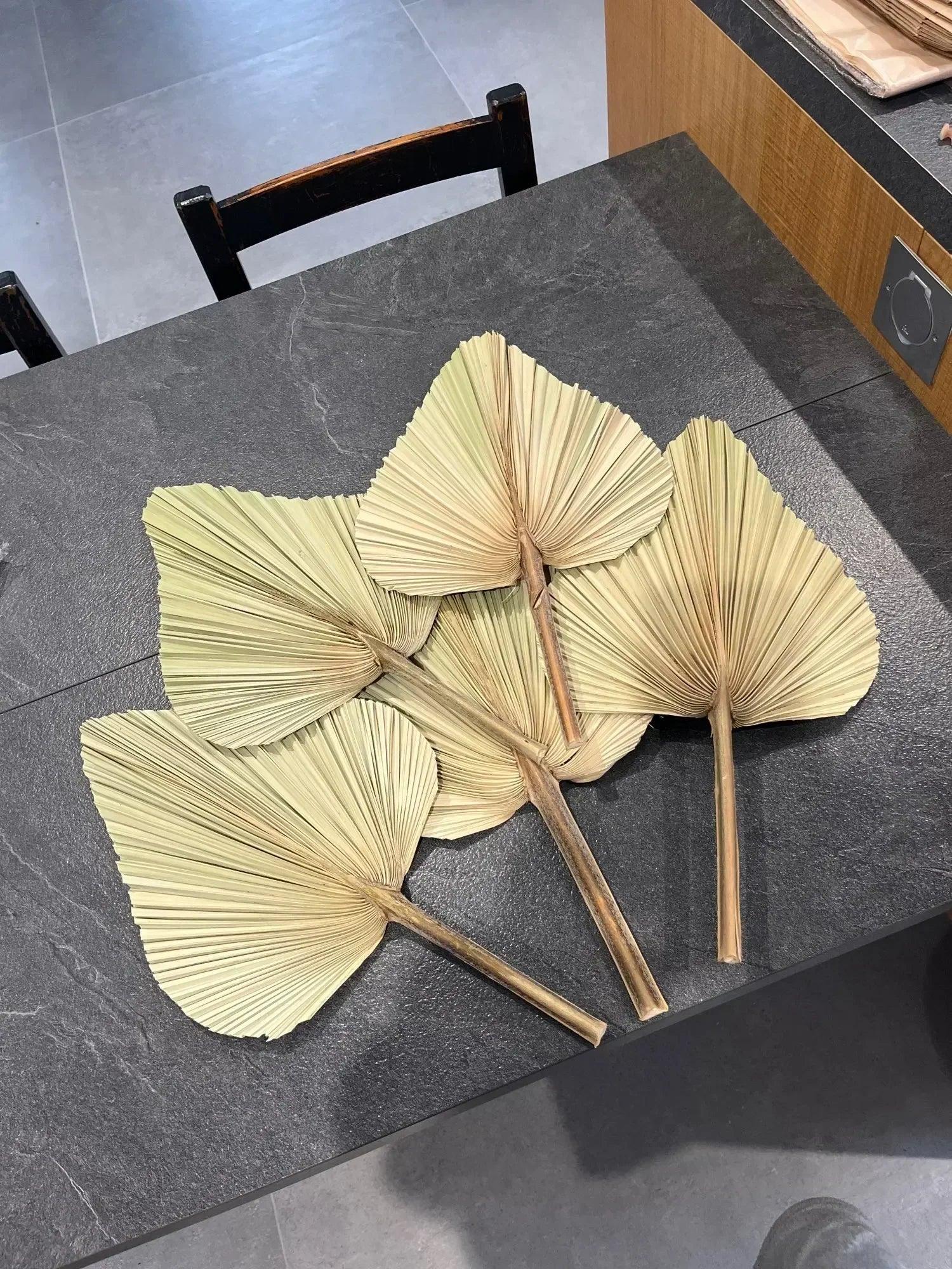 5 pieces natural dried palm leaves room decor tropical fans for a beautiful boho home wedding