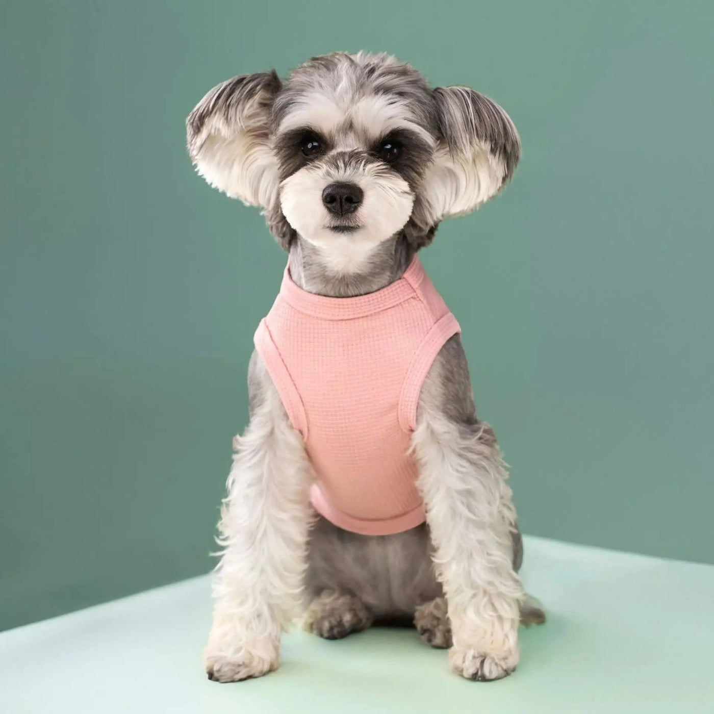 Summer Dog Clothes for Small Dogs Pet Dog Cooling Vest Puppy Clothing Solid T-Shirt Waffler Pet Apparel Chihuahua Dog Costume