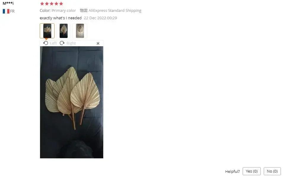5 pieces natural dried palm leaves room decor tropical fans for a beautiful boho home wedding