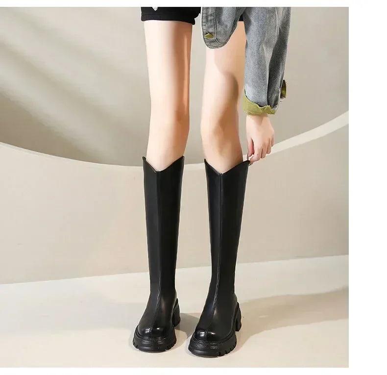 Long tube boots for women 2025 winter new height increasing knight thick heel retro versatile women’s